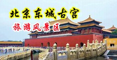 又粗又长抽插淫洞穴黄色一级片中国北京-东城古宫旅游风景区